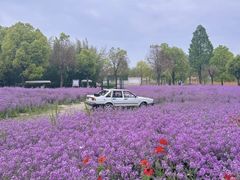 -祥源·阜阳生态乐园