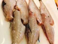-蜀九香火锅(九眼桥店)