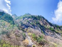 -青峰峡国家森林公园