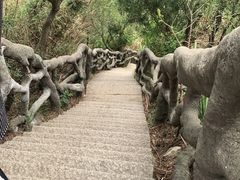 -梧桐山风景名胜区