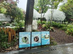 -上海鲜花港
