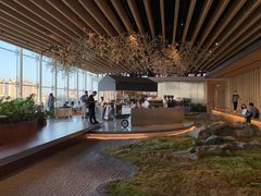 -Seesaw Coffee(朝阳大悦城店)