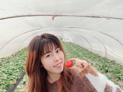 -小鱼草莓采摘园农家乐·小鱼餐厅