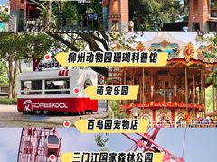 -柳州市动物园