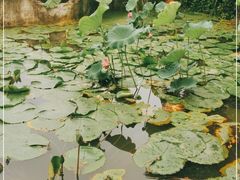 -茂德公草堂