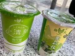 -扬大康源乳业鲜奶吧(大学北路店)