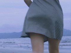 -汕尾风车岛