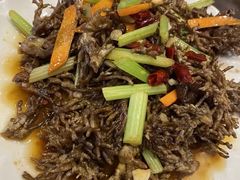 -悠悠美食