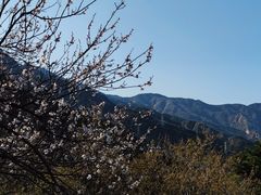 -鹫峰国家森林公园