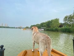 -Supine Bistro溯泮餐厅