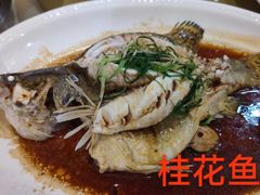 -益利大酒楼(井岸店)