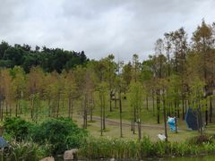 -牛岗山公园