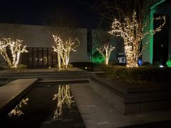 -逸林轩中餐厅(中信泰富朱家角锦江酒店)