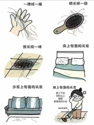 -Bollins波林丝•专研护发中心