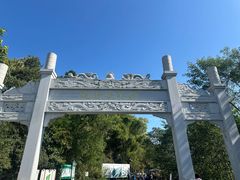 -羚羊峡古栈道森林公园