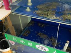 -阳澄湖大闸蟹·琼灵阁牌品牌连锁(吴中总店)