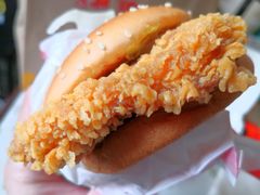 麦辣鸡腿汉堡之生菜碎-麦当劳(东直门外大街店)