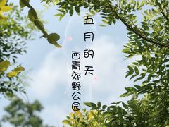 -西青郊野公园