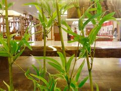 -大佛寺高级素食自助餐厅
