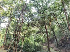 -飞霞风景名胜区