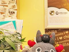 -龙猫仔乐园(惠福东路店)