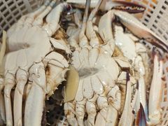 -三个渔夫·蒸汽海鲜(小白楼店)