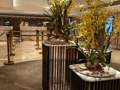 -香港皇家太平洋酒店