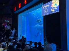 -太平洋海底世界