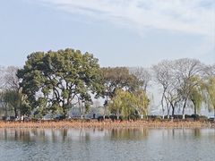 -西湖外事游船(花港观鱼码头)