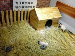 android_upload_pic-盐城大有境(解放南路店)