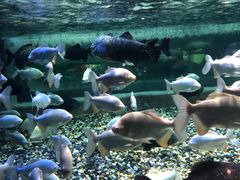 景点-成都浩海立方海洋公园