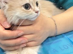 -美迦爱-牙专科·兔科·骨科诊疗中心(北苑店)