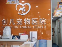 -创凡宠物医院·骨专科  猫科中心(西乡分院)