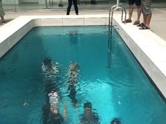 -金泽21世纪美术馆