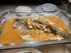 -佬肥猫(国华广场店)