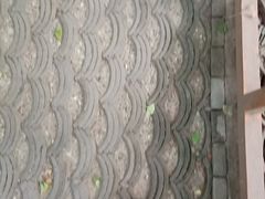 路面-陶然亭公园