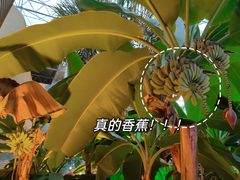 -北国之春国宴(乌兰察布店)