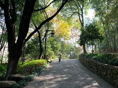 -杭州半山国家森林公园