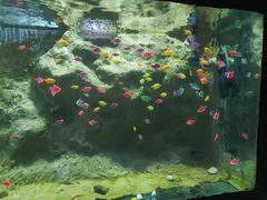 -苏州海洋馆