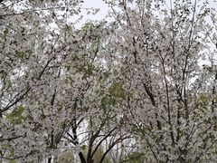 -太阳宫公园