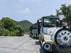-东澳岛