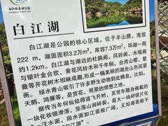 -广州白江湖森林公园