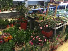-双季花艺园艺市场(浦东店)
