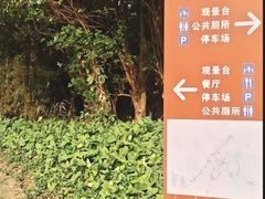 -南国桃园旅游度假区