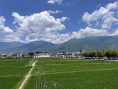 -喜林苑·稻田餐厅(品相府店)