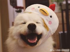 -半天妖烤鱼(文化东路店)
