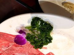 -惠丰涮肉馆|炭火铜锅·手工水饺(德宝新园店)