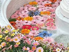-秀儿家の小确幸花园西餐厅