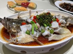 藤椒蒸桂花鱼-巡味顺德菜(龙华壹方城店)