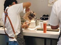 -兰熊鲜奶(西直门凯德mall店)